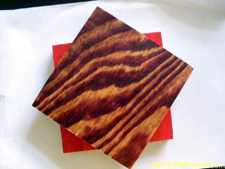 ����ľģ���Ԕ����B