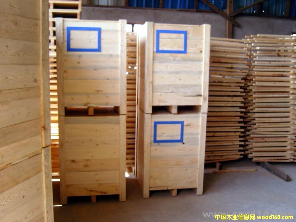 ��������ľ�бP��Ԕ����B