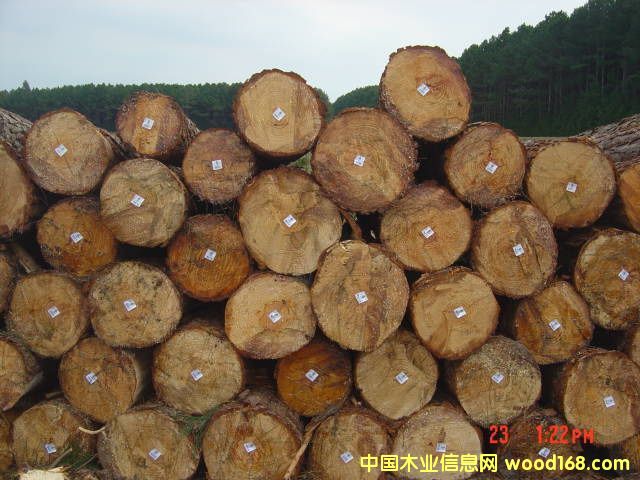 �������S�ɵ�Ԕ����B