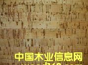 �M��ܛľ�ذ��Ԕ����B