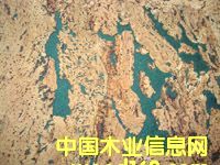 ����ܛľ�����Ԕ����B