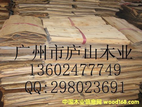 ��ľ�ΰ�1��Ԕ����B