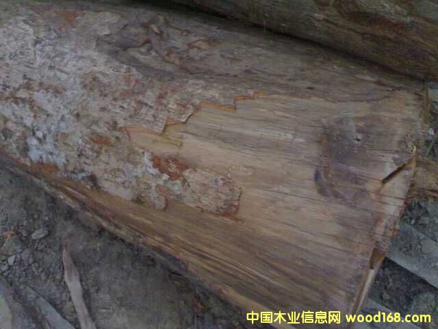 ��ľ��Ԕ��(x��)��B