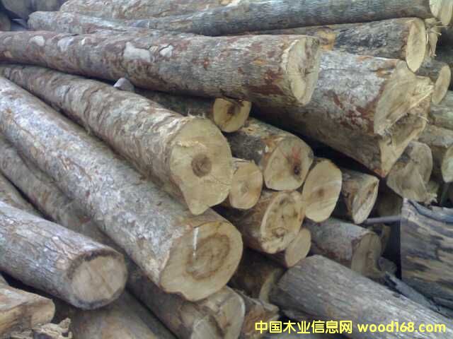 ɽ骣��ľ��Ԕ��(x��)��B