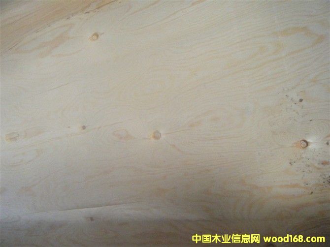 ��ľƤ��Ԕ����B