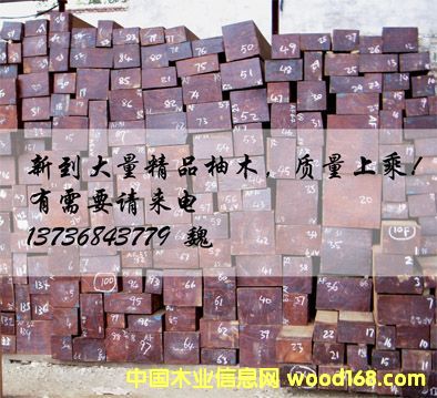 ��ľ��Ԕ����B