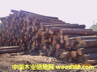 ��ľԭľ��Ԕ��(x��)��B