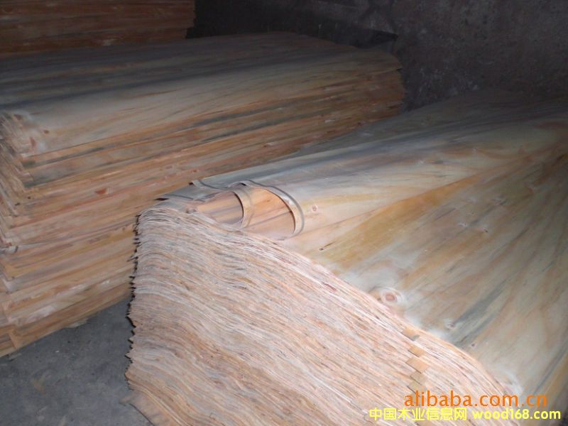 ��ľ��Ƥ��Ԕ����B