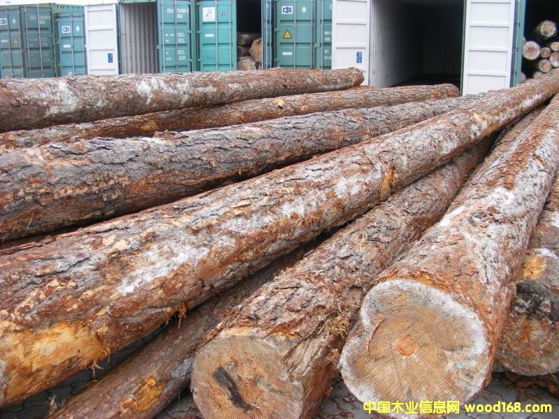 �����ɵ�Ԕ����B