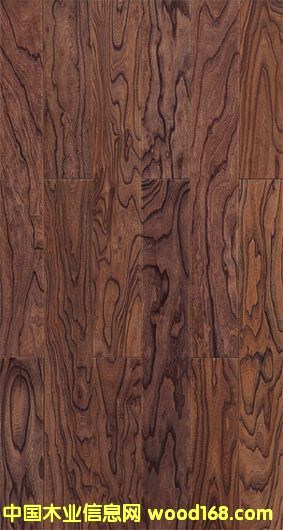 ��ľ--�ŵ�ųǵ�Ԕ����B