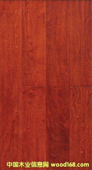 ��ľ--��ʿ�ɼt��Ԕ����B