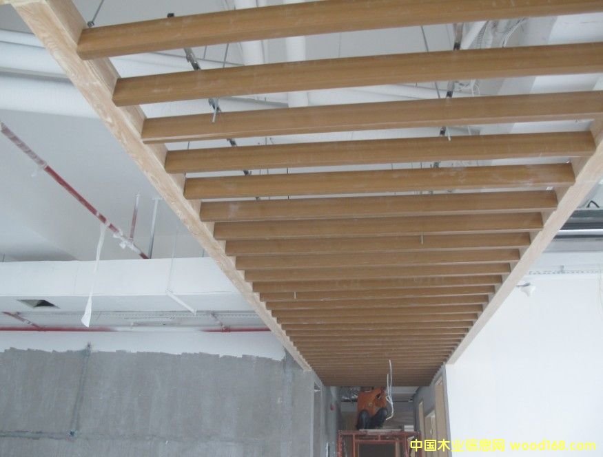 ���ڌ���ʢ���Bľ��Ԕ����B