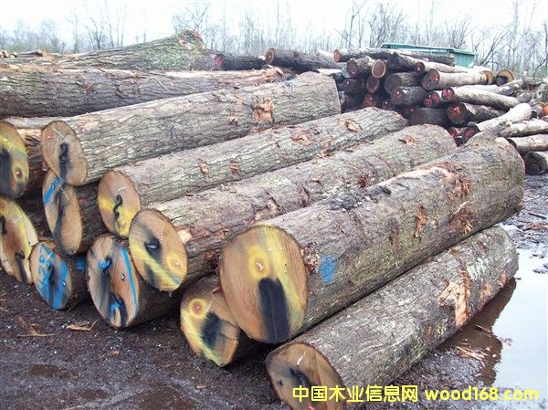 �����t���Ԕ��(x��)��B