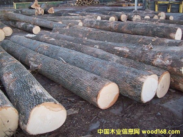 ����ˮ������Ԕ��(x��)��B