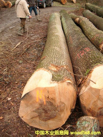 �W��ˮ������Ԕ����B