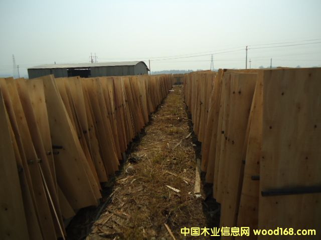 ��ľо�ΰ��Ԕ��(x��)��B