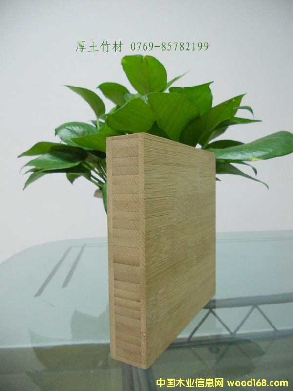 ��������Ԕ��(x��)��B