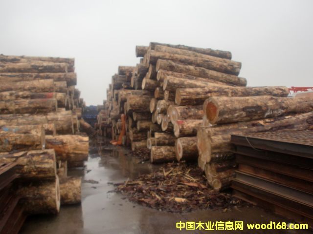 �����mݗ����ԭľ��Ԕ��(x��)��B