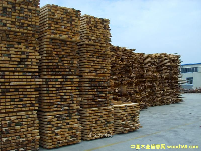 �Fɼ/��ɼ/SPF��Ԕ����B