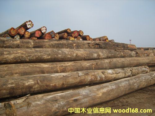 �̈́ڵ�Ԕ����B