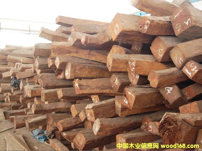 ������֦��Ԕ����B