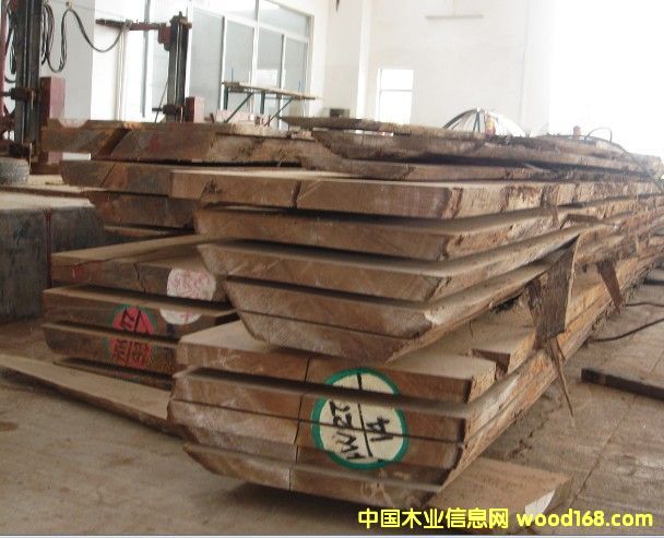 ������ľ��ĵ�Ԕ����B