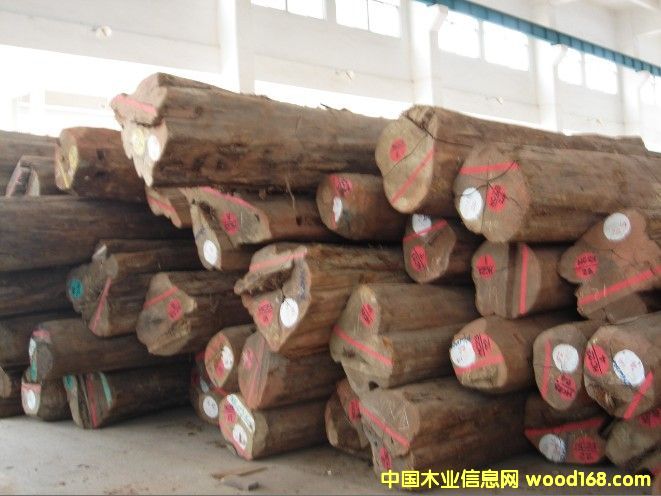 ������ľԭľ��Ԕ����B