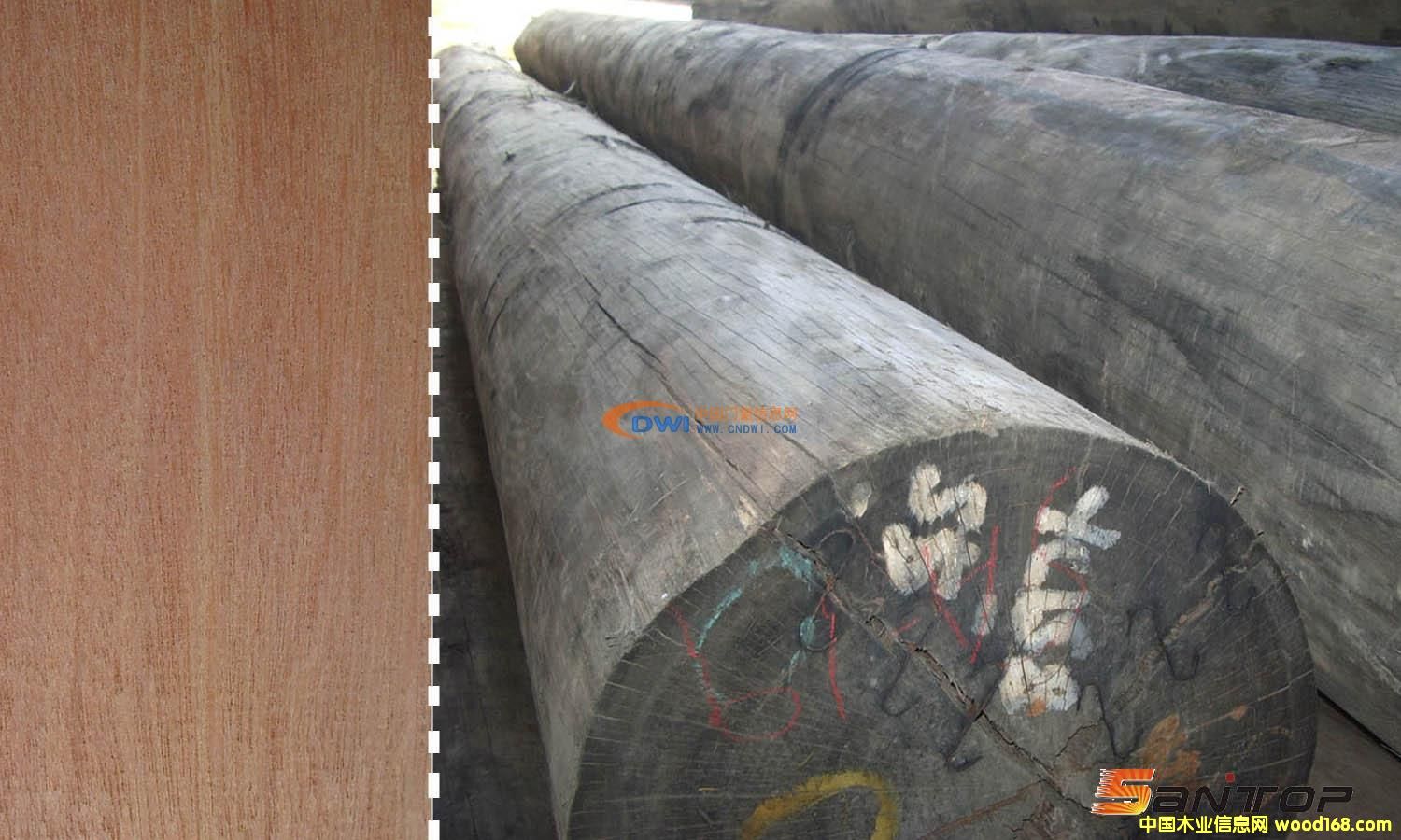 ɽ��ľ��Ԕ����B