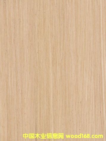 �Ƽ�ľľƤ��Ԕ��(x��)��B