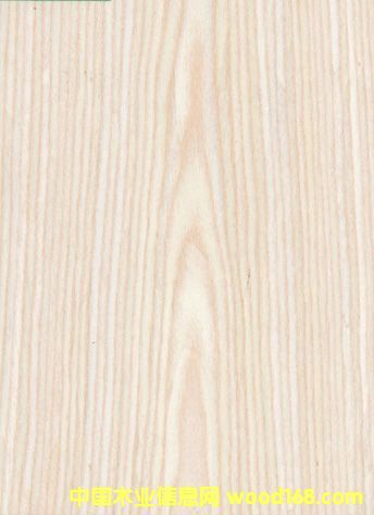 �Ƽ�ľľƤ��Ԕ��(x��)��B