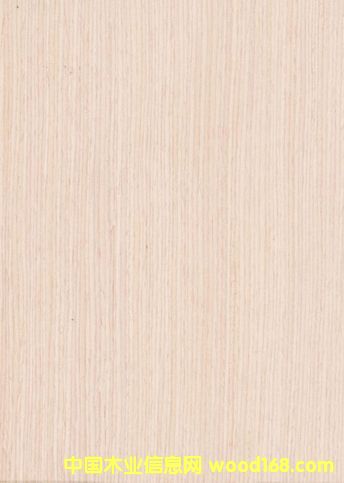 �Ƽ�ľľƤ��Ԕ��(x��)��B