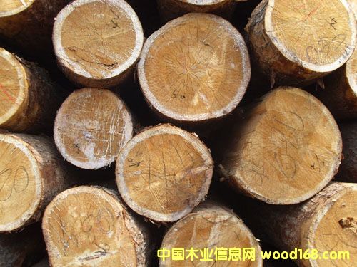 ��ľԭľ��Ԕ����B