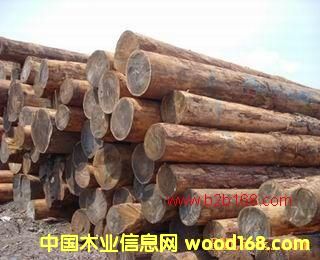 ��ľԭľ4��Ԕ����B