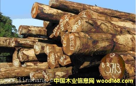 ��ľ���������_�T���󏽣���Ԕ��(x��)��B