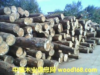 �����m�����ɵ�Ԕ����B