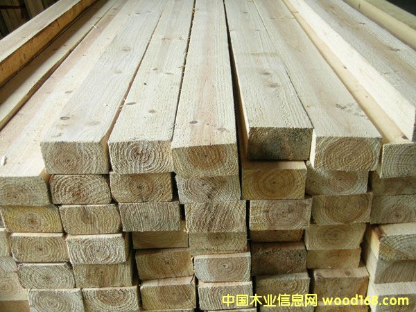 ľ����Ԕ����B