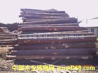 ���_˹��ľ���