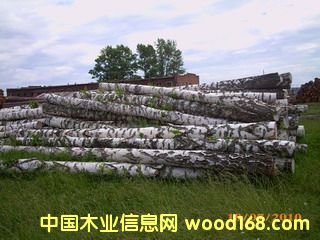 ���_˹��ľ���