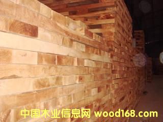 ���NҎ�����zľ��Ԕ����B