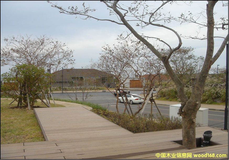 ��ľ�ذ嗣����Ԕ����B