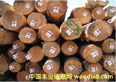 �Ĵ�����ݗ����