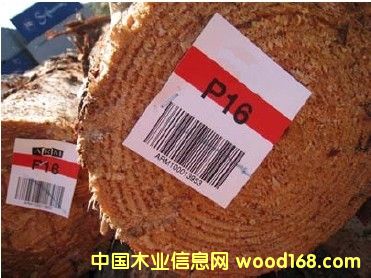 ����ݗ����