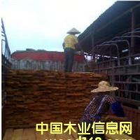 ��ľ��Ԕ����B