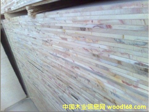 ��(x��)ľ�����(n��i)�ߵ�Ԕ��(x��)��B