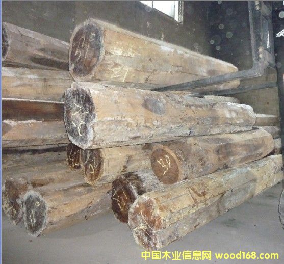 �����޻��y̴ ԭľ��Ԕ����B