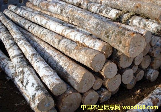 TIPA ������֦��܊��ľ-�����S̴����Ԕ����B