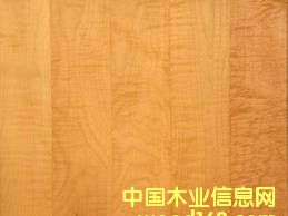 ���ô�Ӳ��ľ��Ԕ����B