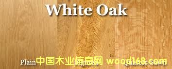 ��������ľ��Ԕ����B