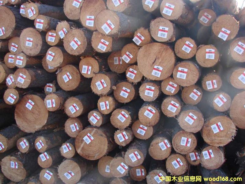 ����ݗ����ԭľ2��Ԕ��(x��)��B