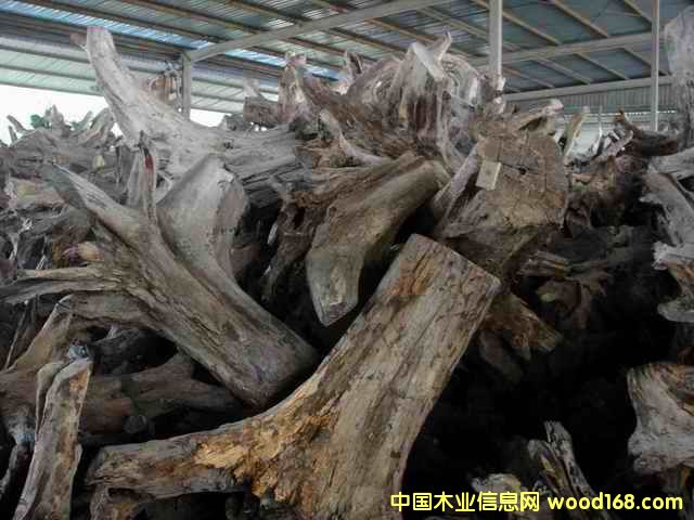 �ϓ�t��֦���^�������Ԕ����B